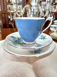 Royal Albert Blue Trio